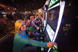 kiwin2